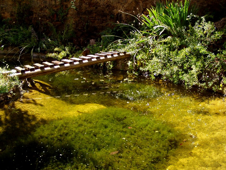 Il Laghetto del Centro di Entomologia - Piombino (LI)